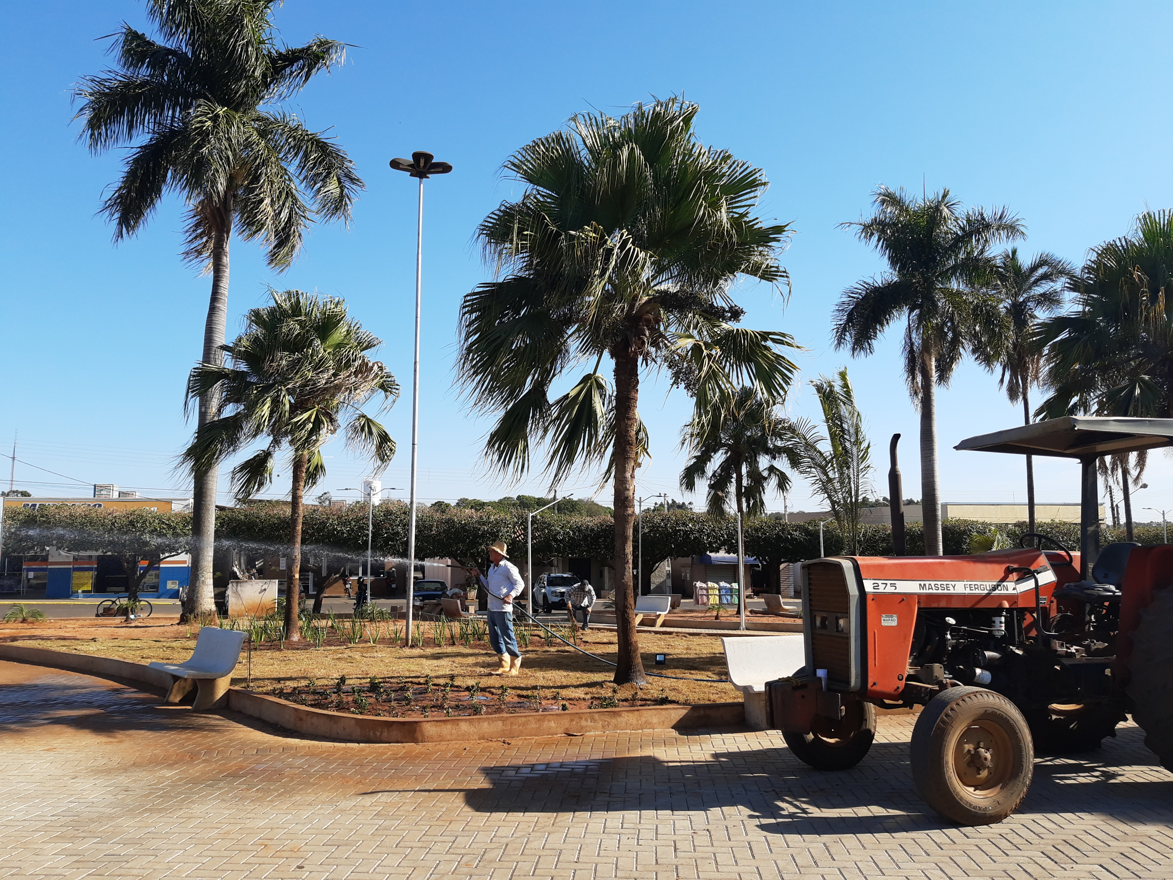 paisagismo com vasos